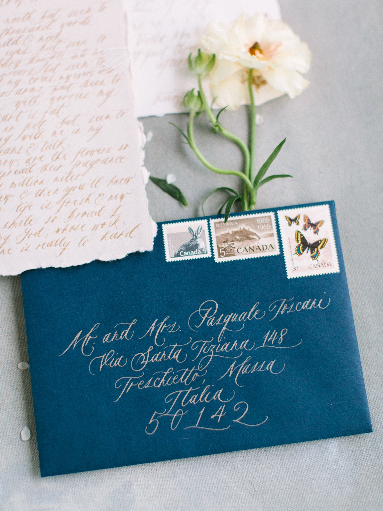 Custom Calligraphy Addressing – The Ayla View